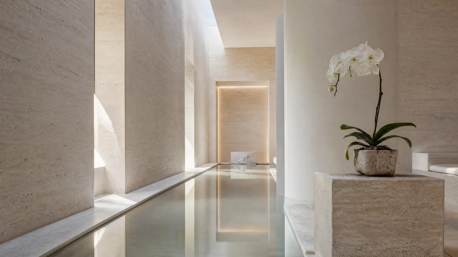 ORCHIDÉE — Stillness · Hall